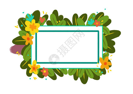 相框多框素材花卉植物插画