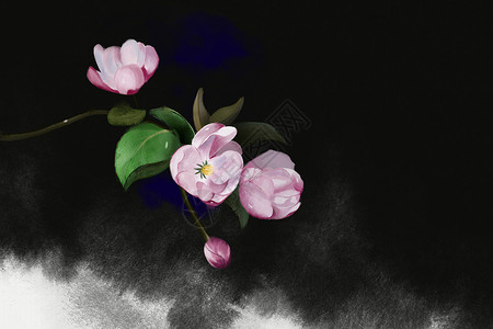 一枝粉色海棠花海棠花插画