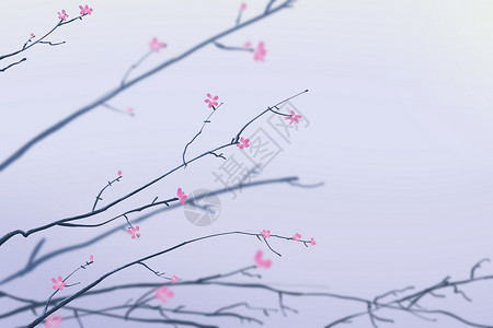 樱桃花背景图片