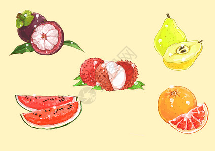 山竹插图水果素材插画