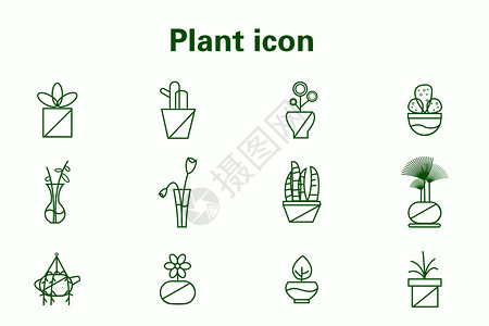 多肉盆植物图标插画