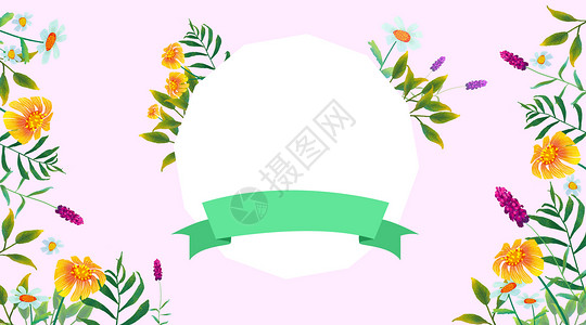 植物装饰丝带花卉背景插画