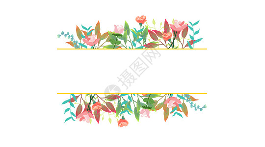 花卉背景郁金香花朵边框高清图片