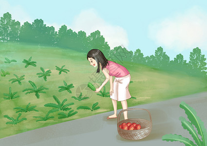 野菜团子小满摘苦菜插画