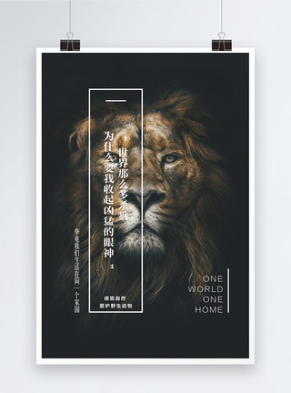 关爱野生动物保护野生动物公益海报设计模板