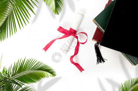 热带植物棕树清新毕业季背景设计图片