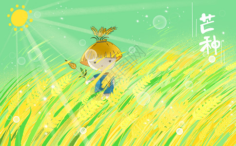 黄色的稻子芒种插画