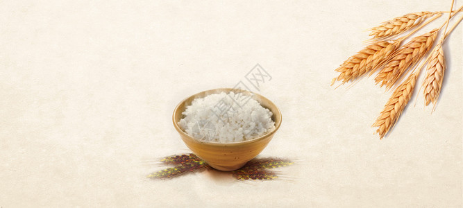 黄焖鸡米饭芒种设计图片