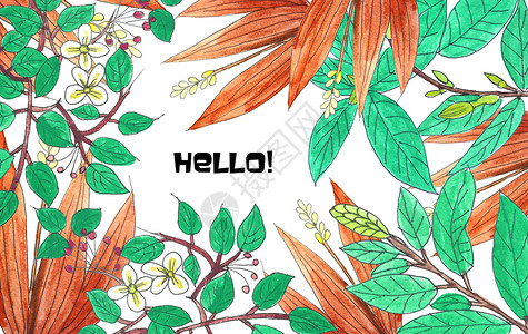 手绘水彩热带植物背景图片