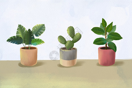 北欧风格植物清新植物素材插画