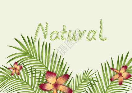 热带绿植植物背景插画