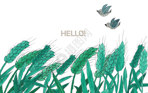 简洁谷物背景手绘水彩麦子插画