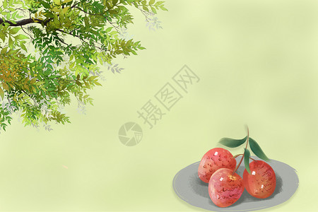 绿色果实夏季荔枝和花插画