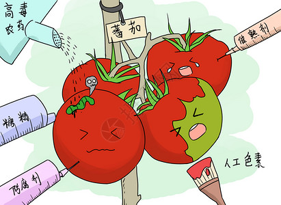 番茄种植食品安全插画