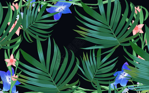 夏季植物背景背景图片