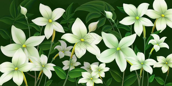 植物花卉写实背景图片