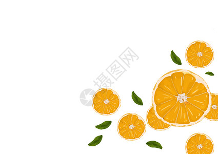 夏日橙子边框橙子插画