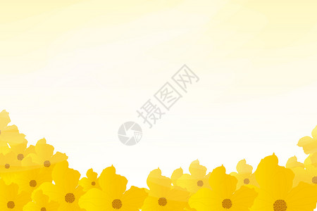 黄色向日葵边框花卉banner背景插画