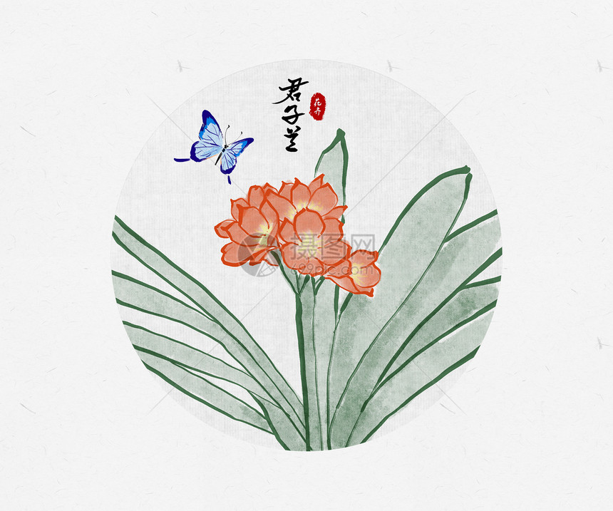 君子兰花卉蝴蝶中国风水墨画图片