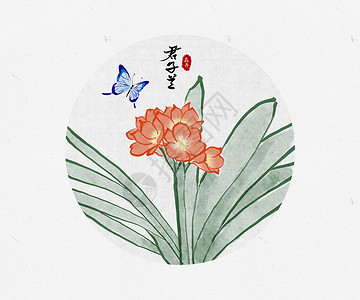 白色宣纸背景君子兰花卉蝴蝶中国风水墨画插画