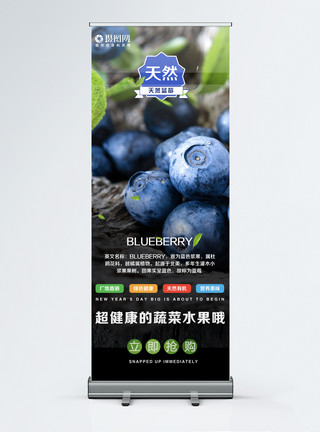 有机蓝莓新鲜水果蓝莓促销展架模板