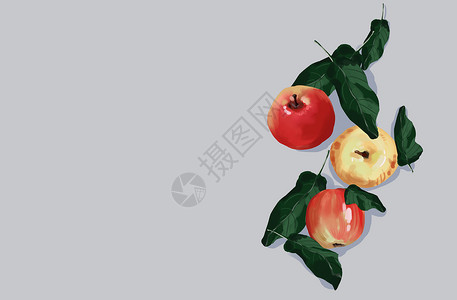 三个苹果苹果插画