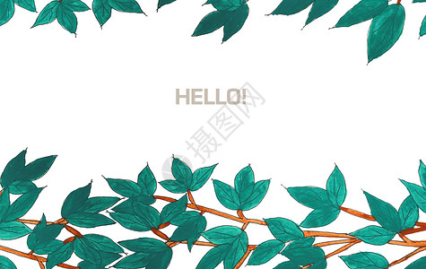 边框简洁素材手绘水彩植物插画