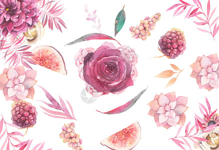 巨玫瑰葡萄花卉背景素材插画