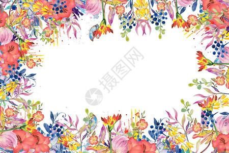 花朵大叶草边框花卉类背景元素插画
