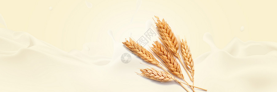 清新牛奶牛奶小麦banner设计图片