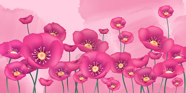 花卉背景banner背景图片