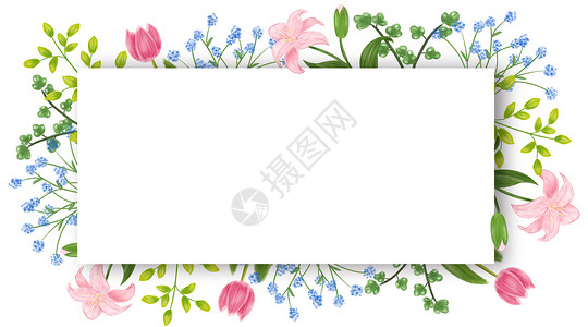 花卉留白背景背景图片