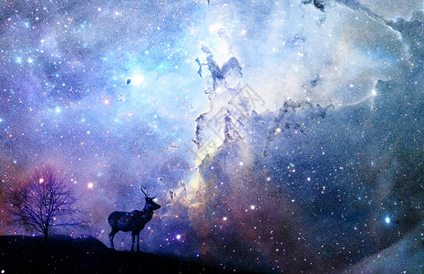 夜空下的星星星空下的麋鹿设计图片
