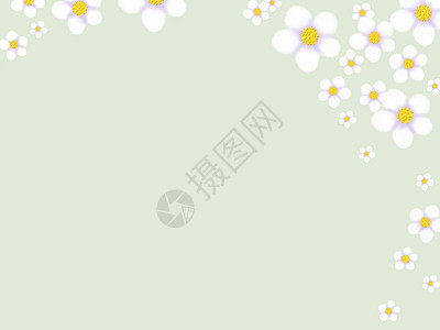 雏菊边框花卉二分之一留白背景插画