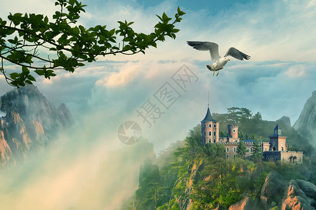 梦幻的鸟图片云海王国创意合成设计图片
