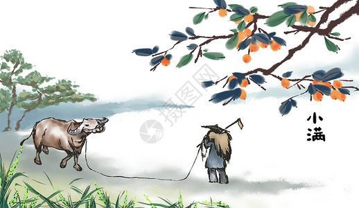 枇杷卡通中国风小满节气插画