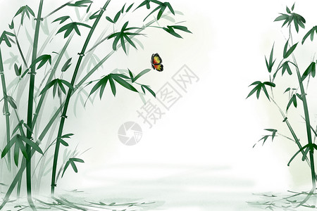 水面植物夏日清新竹林水影插画