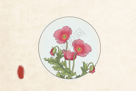 红印章中国风工笔花卉罂粟插画