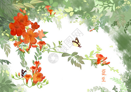 红色月季花苞夏至凌霄花插画