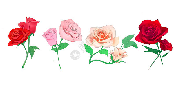 粉红色浪漫的唯美玫瑰花素材插画
