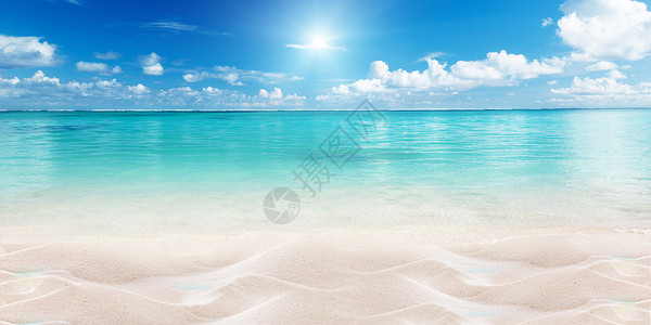 热带树叶背景沙滩夏日清凉背景设计图片
