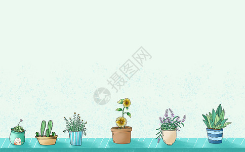 清新盆栽元素背景图片