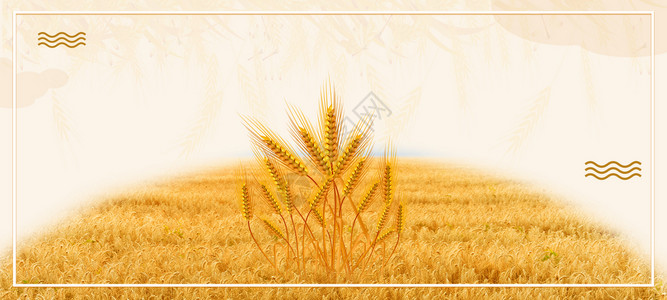 麦子收割芒种设计图片
