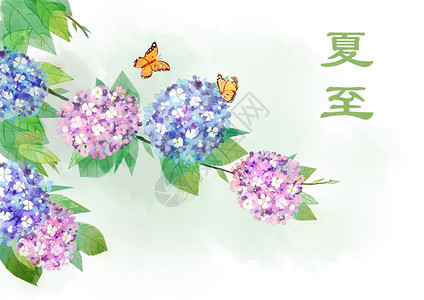 紫色清新花瓣夏至插画