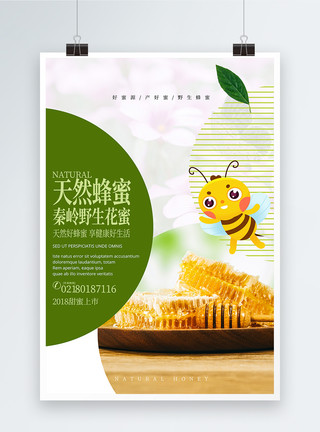 野生蜜蜂天然野生蜂蜜海报模板