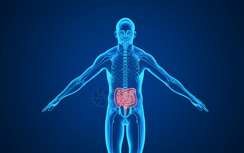 中医五脏人体大肠背景设计图片