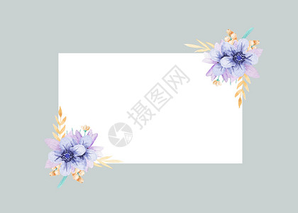 横条灰色边框花卉植物边框插画