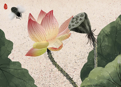 水墨荷花红梅森蜜蜂高清图片