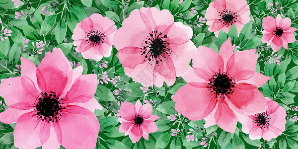 植物花卉图背景图片