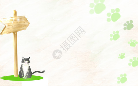 清新猫咪背景背景图片